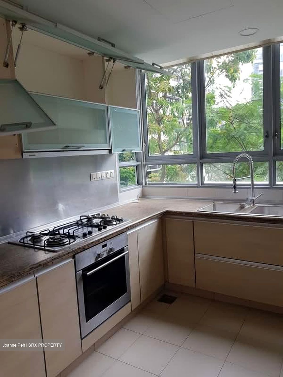 The Marbella (D10), Condominium #553897571